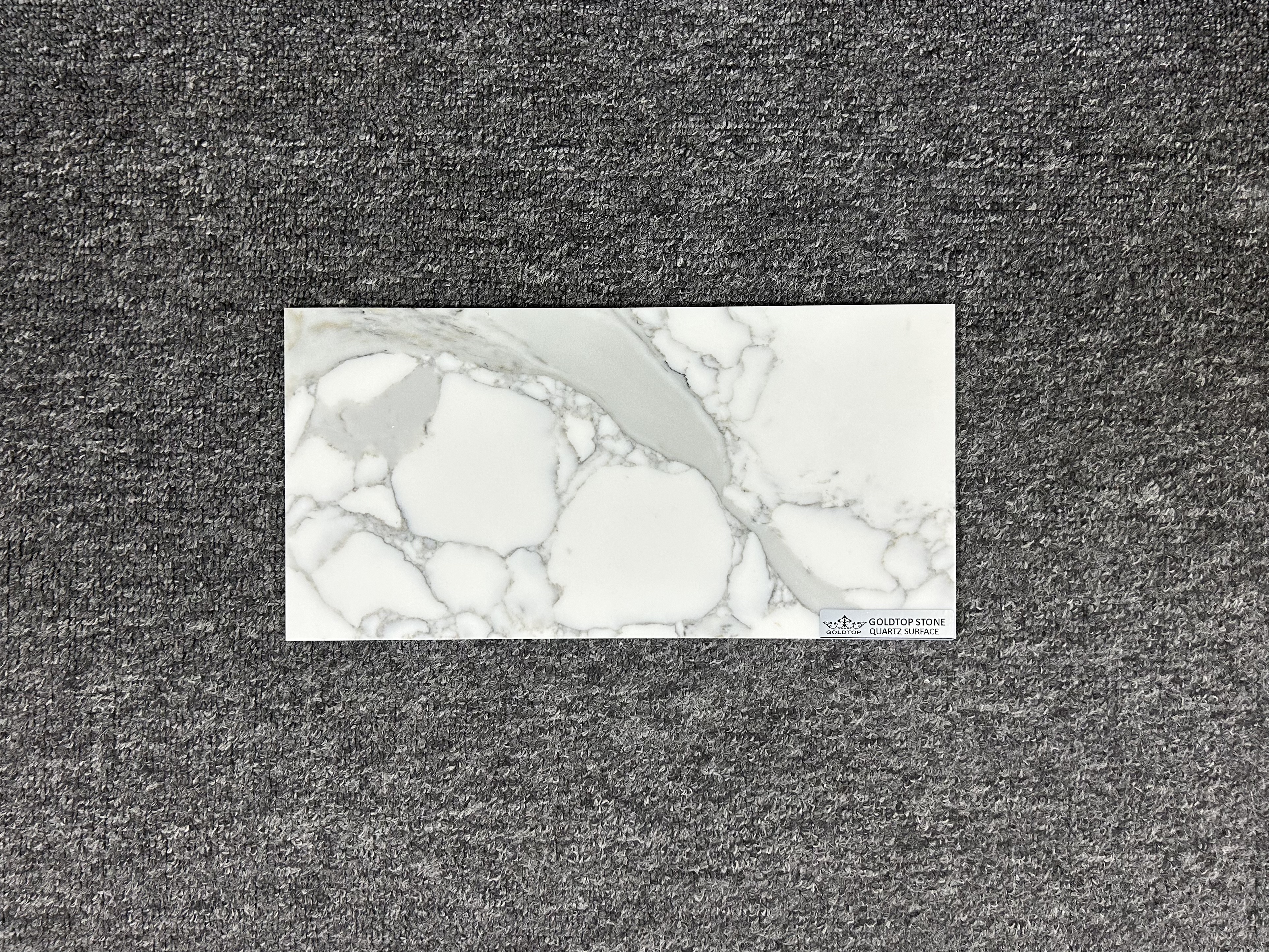 5119 Statuany Wenice