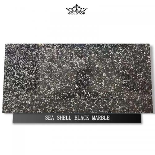 Sea Shell Black Marble Slabs
