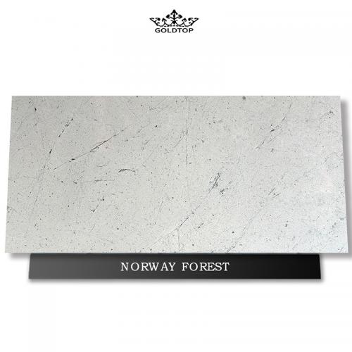 Norway forest Quartzite