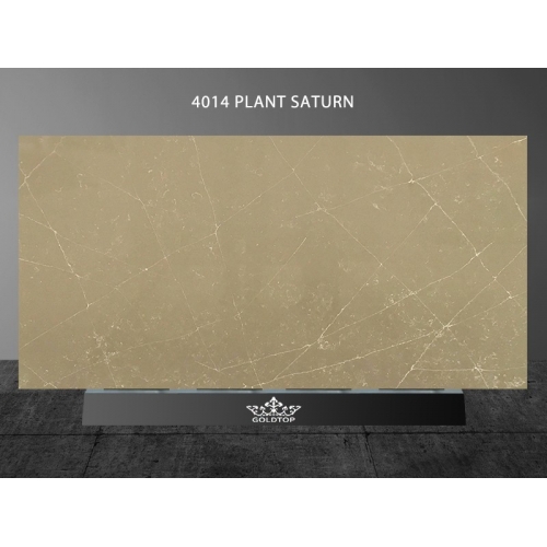 4014 Plant Saturn  Marble Quartz Slab